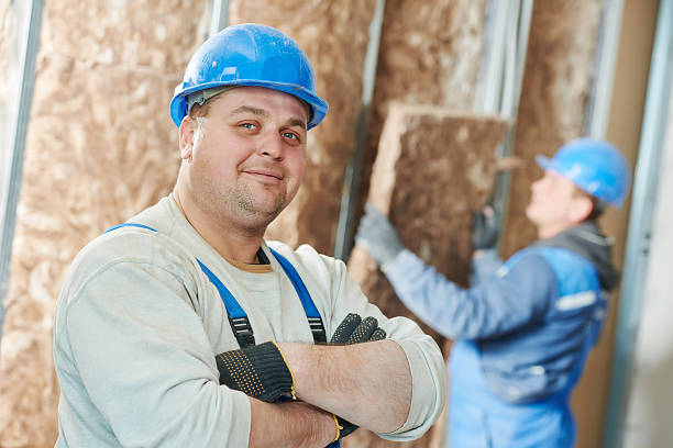 Best Insulation for New Construction  in West Frankfort, IL